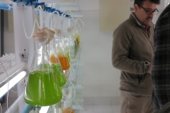 capacitacion_accionjoven_2015_12_unab