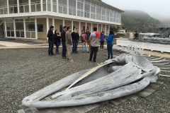 capacitacion_accionjoven_2015_37_unab