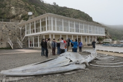 capacitacion_accionjoven_2015_4_unab
