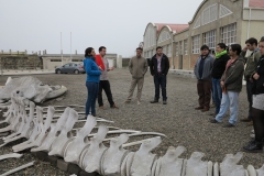 capacitacion_accionjoven_2015_57_unab