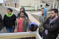 capacitacion_accionjoven_2015_61_unab