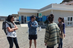 YouthActionNetChileQuintay(12)