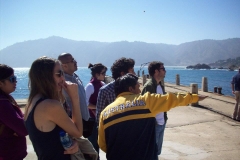 accionjoven_unab-1