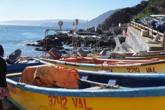 accionjovendsc05086