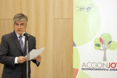 lanzamiento2_accionjoven2011